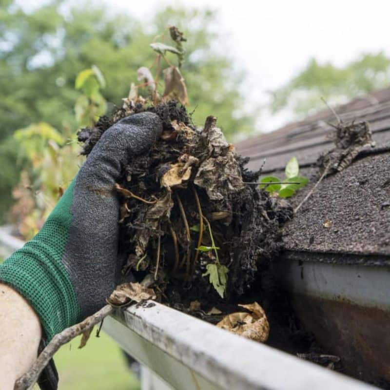 Gutter Clean Out